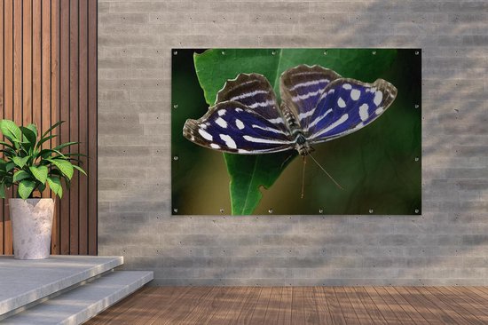 Blue Golf Butterfly Garden Poster 200x100 cm - Toile de jardin / Toile d'extérieur / Peintures d'extérieur (décoration de jardin) XXL / Groot format!