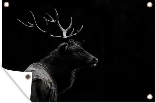 Hert zwart-wit  Tuinposter 60x40 cm - Foto op Tuinposter (tuin decoratie)