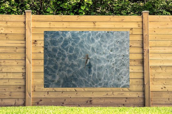 Décoration murale Requin en eau peu profonde - 180x120 cm - Poster de jardin