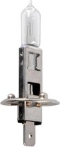 Pro Plus Autolamp - 12 Volt - 55 Watt - P14.5S - H1 - blister