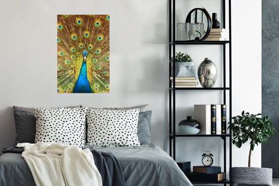 Affiche Paon - Vogel - Blauw - 60x90 cm