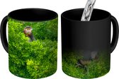 Magische Mok - Foto op Warmte Mok - Roodscheendoek apen in de bomen van Vietnam - 350 ML