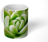 Mok - Een groene botanische succulent met rode punten in de bloei - 350 ML - Beker