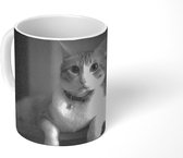 Mok - Koffiemok - Dierenprofiel liggende kat in zwart-wit - Mokken - 350 ML - Beker - Koffiemokken - Theemok