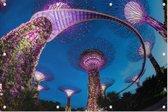 Neon verlichte tuinstad Gardens by the Bay in Singapore - Foto op Tuinposter - 150 x 100 cm