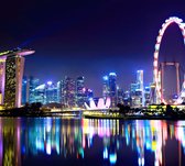 Neon verlichting in de nachtelijke skyline van Singapore  - Fotobehang (in banen) - 250 x 260 cm
