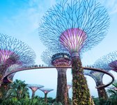 De bomen van Gardens by the Bay in Singapore bij daglicht - Fotobehang (in banen) - 450 x 260 cm