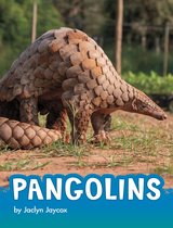 Animals - Pangolins