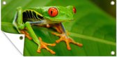Poster de jardin Grenouille - Feuille - Vert - 80x40 cm - Décoration murale Outdoor - Poster de jardin - Toile jardin - Poster clôture - Tableau jardin