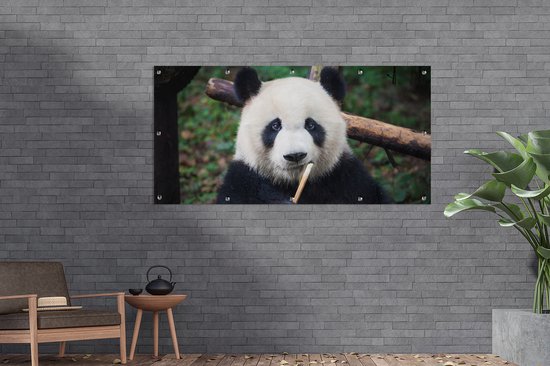 Décoration murale murale d'extérieur Panda - Bamboe - Nature - 160x80 cm - Toile de jardin