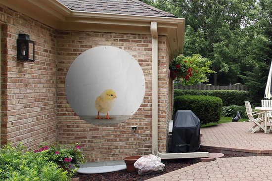 Tuincirkel Kuiken - Dieren - Jongens - Meisjes - Kinderen - 120x120 cm - Ronde Tuinposter - Buiten XXL / Groot formaat!