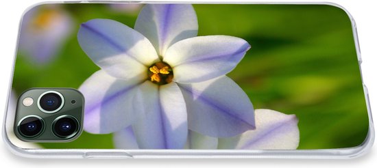 Coque iPhone 11 Pro Max - Fleurs - Jardin - Violet - Coque de téléphone en Siliconen