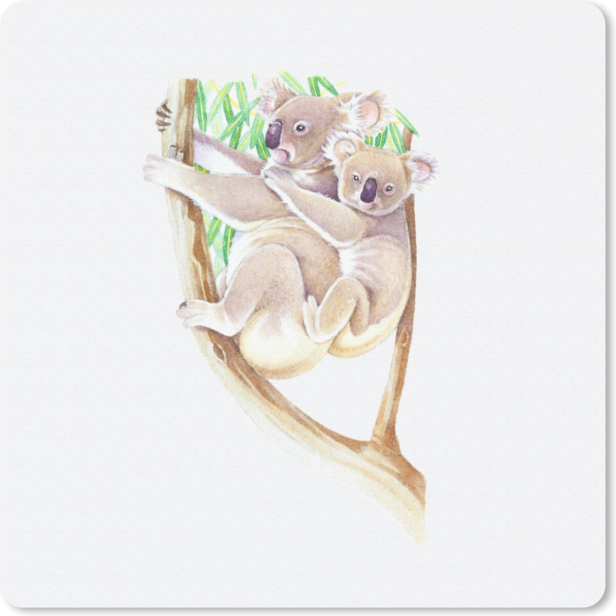 Muismat 30x30 cm - Mousepad Koala - Tak - Waterverf - Muismatten
