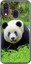 Geschikt voor Samsung Galaxy A40 hoesje - Panda - Gras - Dier - Siliconen Telefoonhoesje