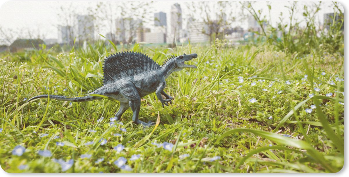 Bureauonderlegger - Dinosaurus - Gras 60x30 - Muismat