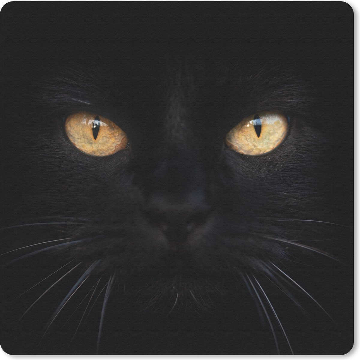 Muismat 20x20 cm - Mousepad Close-up zwarte kat - Muismatten
