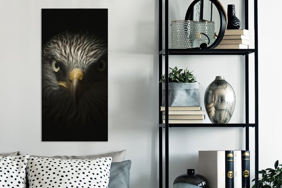 Tableau sur toile Vogel - Aigle - Rapaces - Oeil - Bec - Lumière - 40x80 cm - Décoration murale