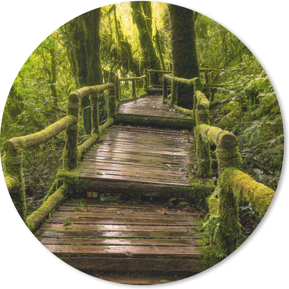 Muismat rond 20x20 cm - Mousepad Mooi regenwoud en jungle - Ronde muismatten