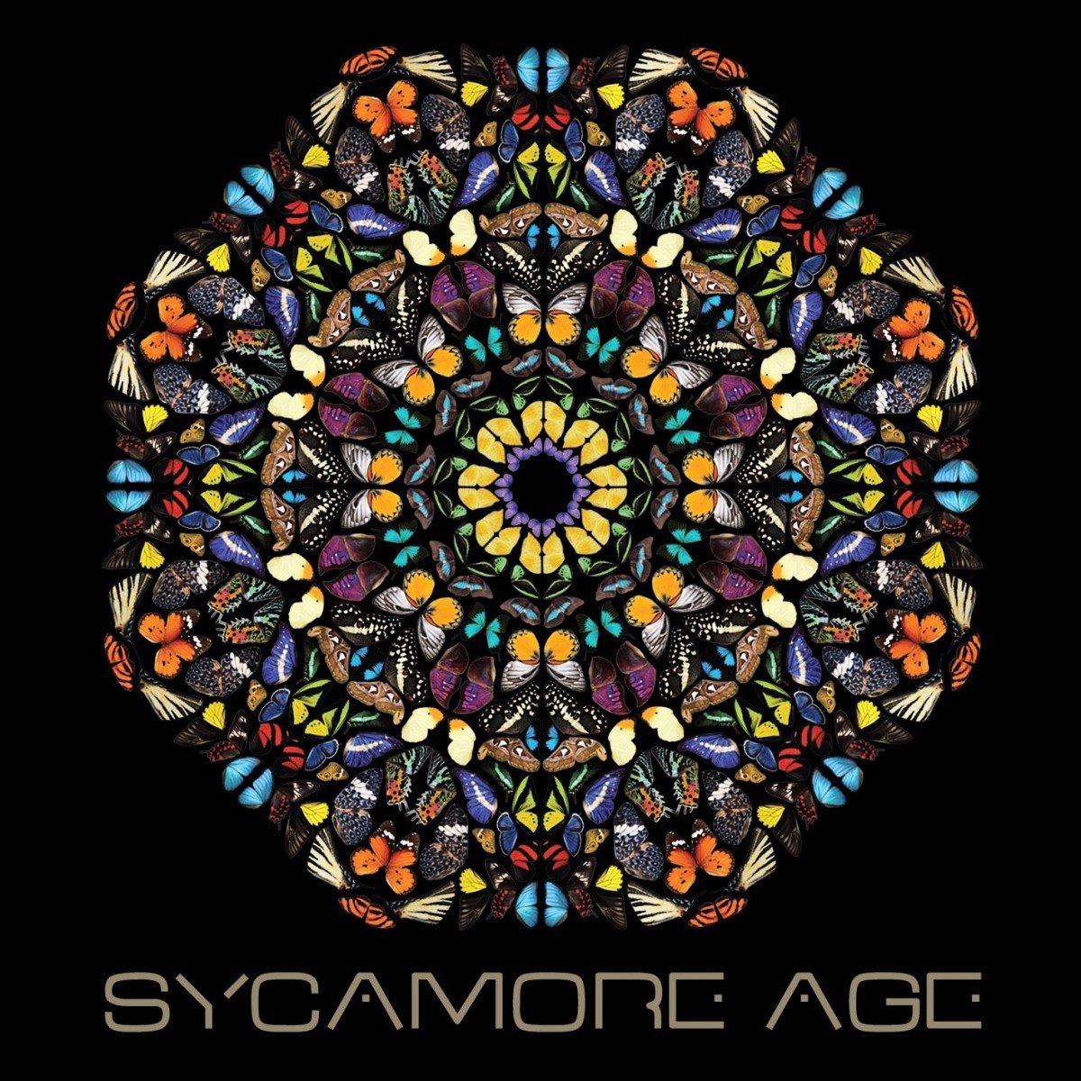 Sycamore Age - Sycamore Age (LP) (Limited Edition)