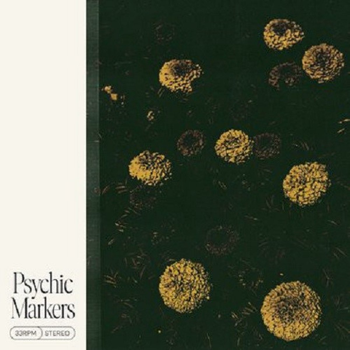 Psychic Markers - Psychic Markers (LP) (Limited Edition)
