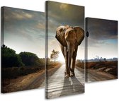 Trend24 - Canvas Schilderij - Olifant Op De Weg - Drieluik - Dieren - 60x40x2 cm - Bruin