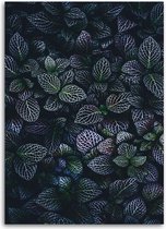 Trend24 - Canvas Schilderij - Winterblaadjes - Schilderijen - Bloemen - 70x100x2 cm - Groen