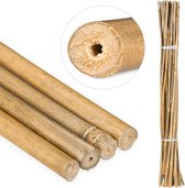 Relaxdays Bamboestokken - tonkinstokken - bamboestok - 25 stuks - set - decoratie - 105 cm