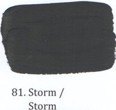 Tester krijt 100 ml 81- Storm