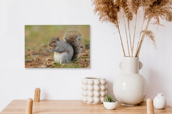 Tableau sur toile Écureuil avec cacahuète - 30x20 cm - Décoration murale