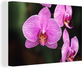 Canvas Schilderij Roze orchidee - 90x60 cm - Wanddecoratie