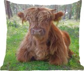 Coussins décoratifs - Oreillers Salon - 60x60 cm - Highlander écossais - Crapaud - Animaux