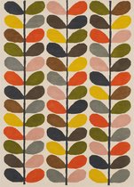 Vloerkleed Orla Kiely Multi Stem Classic 059505 - maat 250 x 350 cm