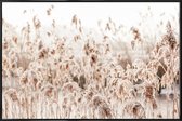 JUNIQE - Poster in kunststof lijst Wild Reeds -30x45 /Bruin & Ivoor