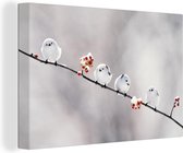 Queue à tête blanche seins sur la branche avec des baies rouges 90x60 cm - impression photo sur toile peinture (Décoration murale salon / chambre à coucher) / Les jeunes Animaux toile Peintures