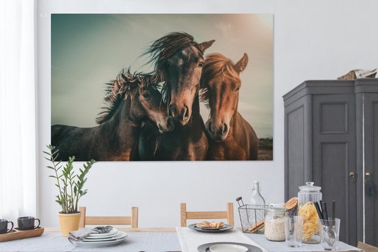 Tableau sur toile Paarden - Gros plan - Soleil - 150x100 cm - Décoration murale