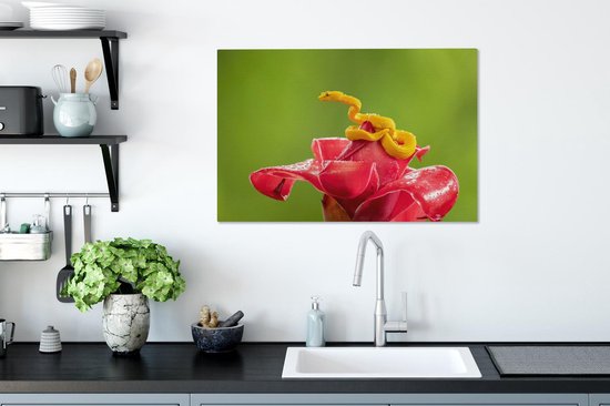 Petit serpent jaune fleur rouge 90x60 cm - impression photo sur toile peinture (Décoration murale salon / chambre à coucher) / Animaux sauvages Peintures Toile