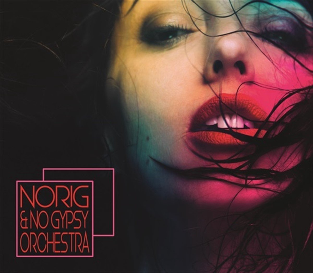 Norig & No Gypsy Orchestra - Norig & No Gypsy Orchestra (CD)