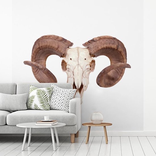 Papier peint photo vinyle - Un crâne de mouton sur fond blanc largeur 280 cm x hauteur 280 cm - Tirage photo sur papier peint (disponible en 7 tailles)