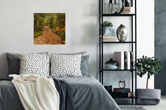 Affiche Forêt - Chemin - Automne - Feuilles - 50x50 cm