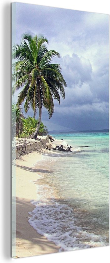 MuchoWow® Glasschilderij – Een kleine palmboom met turquoise groenwater van de Baai-eilanden – 60×120 cm – Acrylglas Schilderijen – Foto op Glas