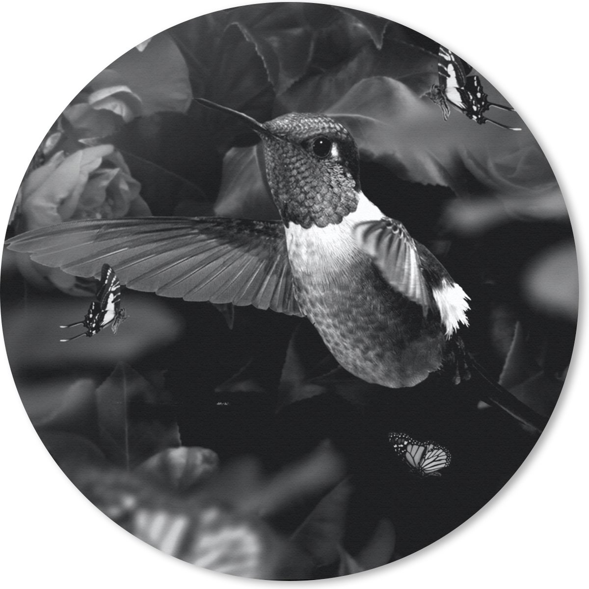 Muismat rond 30x30 cm - Mousepad Kolibrie tussen de oudroze bloemen en vlinders - zwart wit - Ronde muismatten