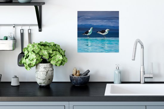 Affiche Mouettes - Vogels - Piscine - 30x30 cm