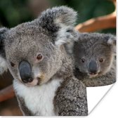 Poster Koala's - Vader - Kind - Kinderen - Jongens - Meisjes - 30x30 cm