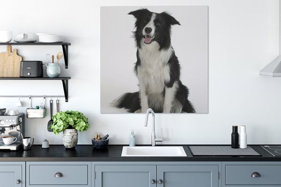Tableau Tableau Portrait photo d'un bon border collie assis - 90x90 cm - Décoration murale Art