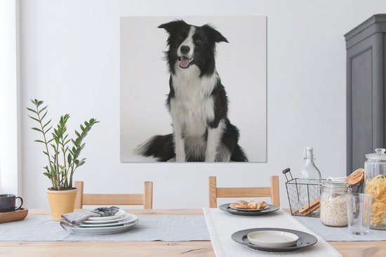 Tableau Tableau Portrait photo d'un bon border collie assis - 90x90 cm - Décoration murale Art