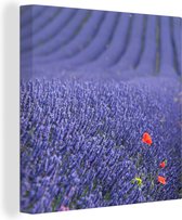 Canvas Schilderij Lavendel - Klaproos - Bloemenweide - 90x90 cm - Wanddecoratie