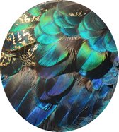 Kleurrijke veren van een blauwe pauw - Foto op Dibond - ⌀ 60 cm
