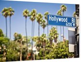 Palmbomen op Hollywood Boulevard in Los Angeles - Foto op Dibond - 60 x 40 cm