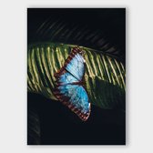 Poster Butterfly - Dibond - Meerdere Afmetingen & Prijzen | Wanddecoratie - Interieur - Art - Wonen - Schilderij - Kunst