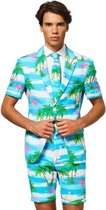 OppoSuits Flaminguy - Costume d'été pour homme - Coloré - Fête - Taille 50